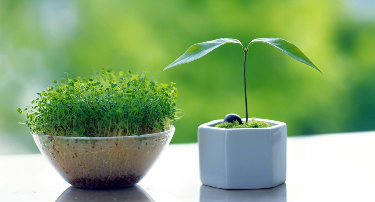 پرسش های نوروزی و پاسخ به آنها