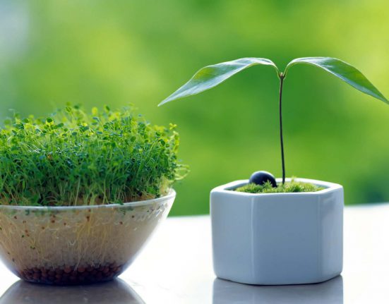 پرسش های نوروزی و پاسخ به آنها